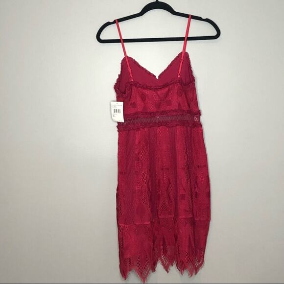 NWT Foxiedox Raspberry Gloria Lace Sheer Waist Dress Size XSmall - Picture 3 of 13